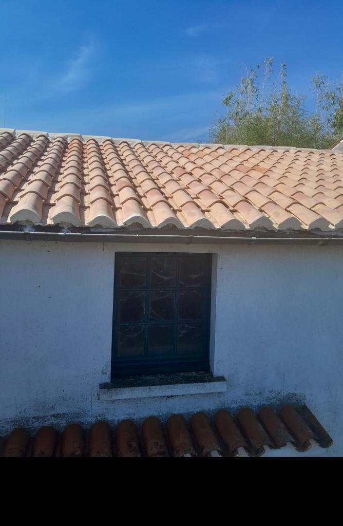 PHOTO 2023 10 23 20 14 55
